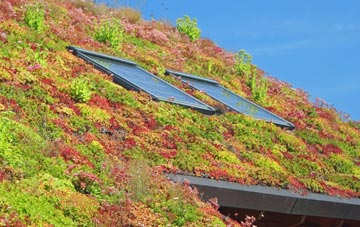 Kettins living roof systems