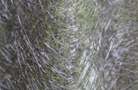 Kettins fibreglass roof work